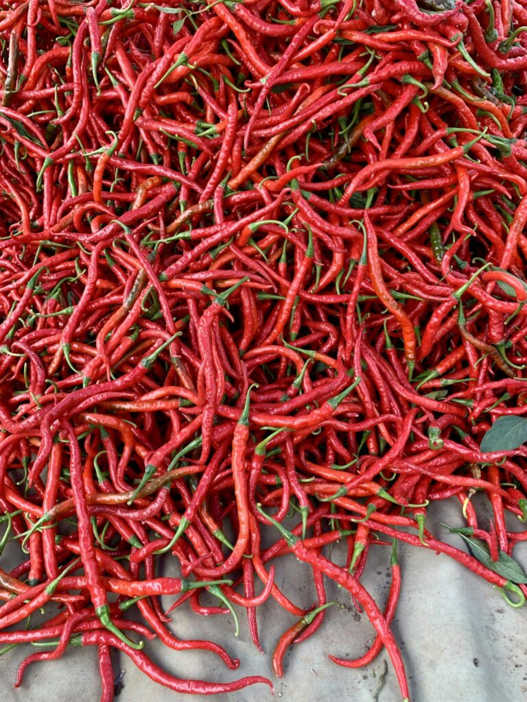 Vibrant pile of red chili peppers showcasing spicy culinary ingredients.
